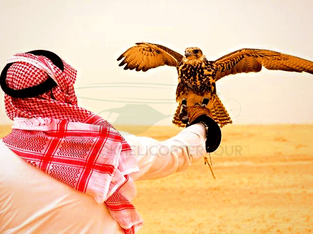 Helicopter Tour Dubai l Dubai Helicopter Tour l Book A Helicopter Tour l Aerial Ride in Dubai l Helicopter Tour Over Dubai l Helicopter ride in Dubai