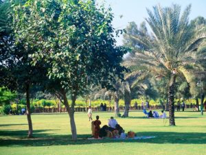 Al Safa Park(3) - bookhelicoptertour.com